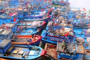 Đà Nẵng: Âu thuyền Thọ Quang bị ô nhiễm nặng