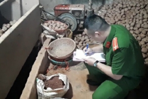 Lâm Đồng: 578 tấn khoai tây Trung Quốc nhập về trong 3 tháng
