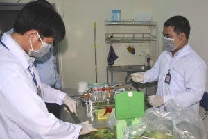 Đà Nẵng: Xử phạt hơn 1 tỷ đồng đối với 409 cơ sở vi phạm ATVSTP