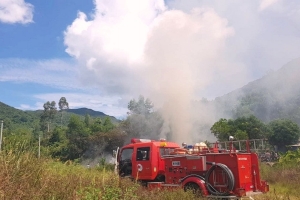 Đà Nẵng: Rừng bán đảo Sơn Trà đang thực sự trở nên báo động