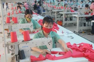 Bắc Giang: Danh sách 40 đơn vị nợ tiền BHXH, BHYT, BHTN