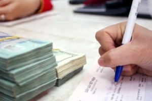 Không có tài sản bảo đảm, hộ nông dân được vay tối đa lên 200 triệu đồng