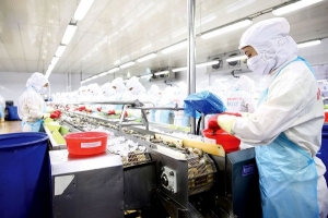 Đẩy mạnh đầu tư tư nhân đảm bảo sự phát triển bền vững