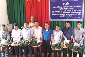 KonTum: Trao tặng gần 50.000 cây giống sâm Ngọc Linh trị giá 14 tỷ