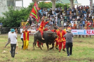Hải Phòng: Đông đảo nhân dân và du khách tham dự Lễ hội chọi trâu Đồ Sơn 2018