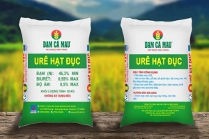 Thời kỳ “trăng mật” sắp hết, đại gia phân đạm số 1 Việt Nam có thể phải chịu cú đòn khó đỡ