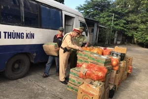 Quảng Ninh: Bắt giữ xe tải vận chuyển hơn 2 tấn hoa quả Trung Quốc vào Việt Nam