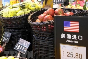 Chiến tranh thương mại Mỹ - Trung: Đông Nam Á “hút” đầu tư