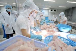 Xuất khẩu cá tra có cơ hội ‘giành giật’ thị trường Mỹ từ tay Trung Quốc?