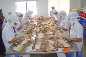 Xuất khẩu mực, bạch tuộc của Việt Nam trong tháng 8 tiếp tục giảm nhẹ