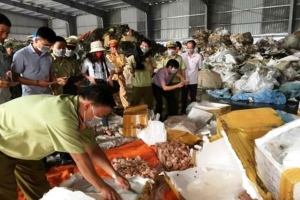 Bàn giao Chi cục Quản lý thị trường Hà Tĩnh về Bộ Công thương