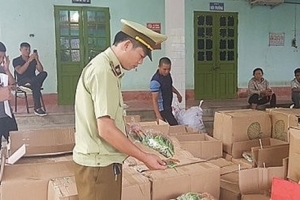 Lạng Sơn: Thu giữ gần 600 kg bánh kẹo, thực phẩm lậu