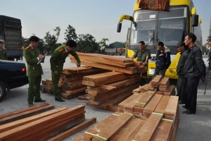Buôn bán, vận chuyển lâm sản trái phép chiều hướng gia tăng tại các tỉnh miền Trung – Tây Nguyên