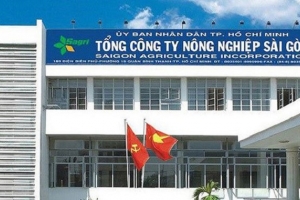 TP. HCM: Sẽ thanh tra hàng loạt vấn đề nổi cộm