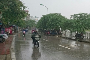 Dự báo thời tiết ngày 20/10: Cả nước có mưa