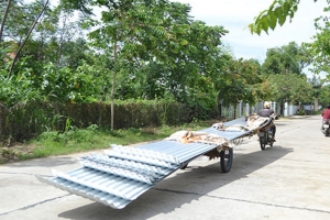 Quảng Nam: Xử phạt hơn 20 tỷ đồng các hành vi vi phạm pháp luật về TTATGT