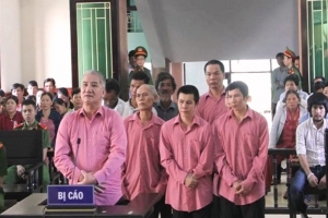 Bình Định: 81 năm tù dành cho 9 bị cáo phá rừng lớn nhất