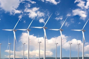 Dự án điện gió công suất 28 MW chậm triển khai, Bến Tre quyết định thu hồi