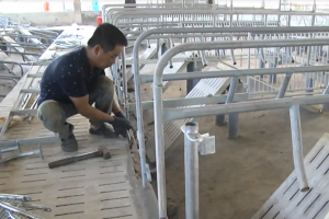 Đồng Nai: Tháo dỡ trang trại heo 'khủng' không phép bên hồ Trị An