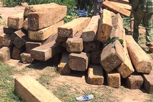 Gia Lai: Cướp súng kiểm lâm tại huyện Krông Pa