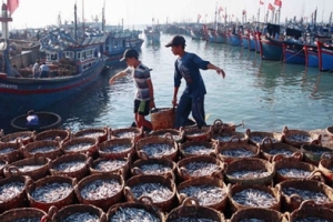 Hướng dẫn người dân, doanh nghiệp phát triển nuôi trồng thủy sản biển