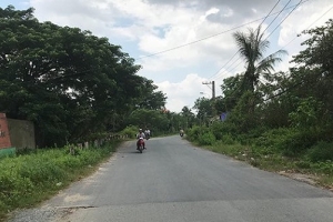 Vì sao một doanh nghiệp tư nhân lại có thể dễ dàng ôm trọn 156ha đất công tại Nông trường Dừa?