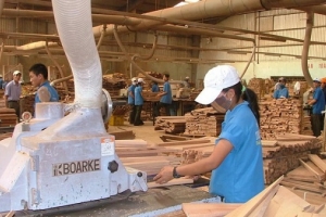 Tăng cường kiểm soát nhập khẩu gỗ và sản phẩm gỗ vào Việt Nam