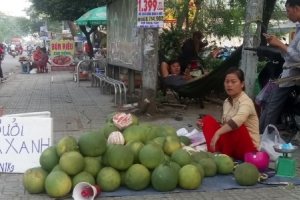 Giá bưởi da xanh tụt dốc, thương lái đổ đống bán vỉa hè