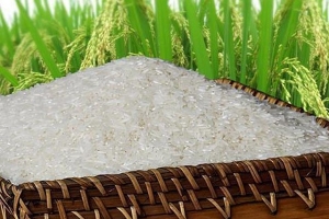 Tập đoàn phân phối gạo lớn nhất Australia mua lại nhà máy chế biến gạo của Việt Nam