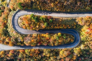 Sắc thu sống động từ khắp nơi trên thế giới