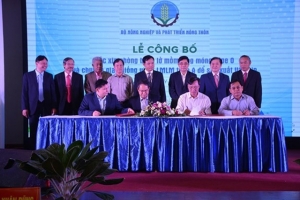 Lễ công bố vắc-xin phòng bệnh lở mồm long móng (LMLM) type O