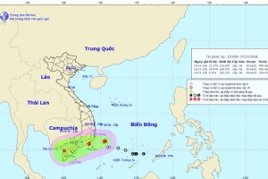 Sẵn sàng ứng phó với cơn bão số 8 (Bão Toraji) trên Biển Đông