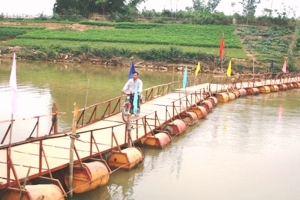 Đà Nẵng: Bao giờ hết cảnh nguồn nước bị nhiễm mặn?