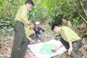 BQL Khu BTTN Pù Hoạt: Phát hiện, xử lý 195 vụ, nộp ngân sác hơn 3,7 tỷ đồng