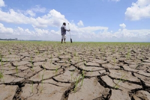 Thủ tướng Nguyễn Xuân Phúc yêu cầu tập trung ứng phó với hiện tượng El Nino