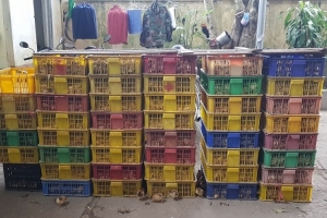 Bắt giữ 7.500 con gà giống nhập lậu tại Lạng Sơn