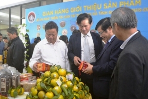 Hà Tĩnh: Hơn 800 thương hiệu được xác lập quyền sở hữu trí tuệ