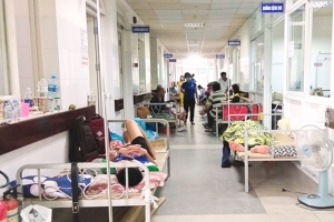 Đà Nẵng: Bệnh nhân quá tải vì sốt xuất huyết