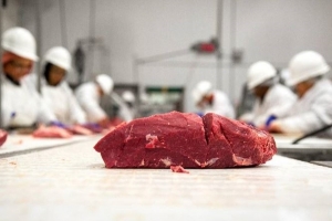 Thịt bò Tây Ban Nha đang tìm cách ‘đổ bộ’ sang thị trường Việt Nam