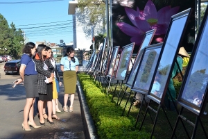 Festival Văn hóa Cồng chiêng Tây Nguyên tại Gia Lai năm 2018: Trưng bày 150 tranh, ảnh tư liệu về họa sĩ Xu Man
