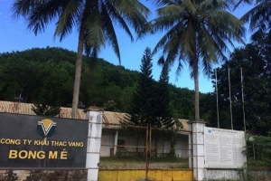 Công ty vàng Bồng Miêu phá sản, để lại khoản nợ khổng lồ