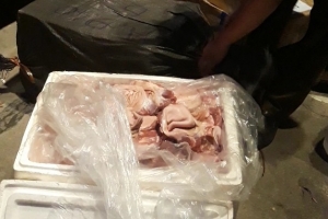 Nghệ An: Bắt giữ gần 200 kg thực phẩm ko đảm bảo vệ sinh an toàn thực phẩm