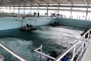 Bình Dương: Khánh thành nhà máy xử lý nước thải sinh hoạt trị giá hơn 100 triệu USD
