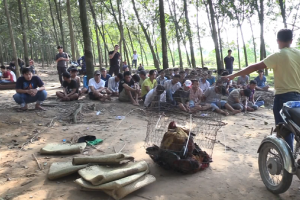 Bình Dương: Phá sới bạc 'khủng' trong vườn cao su, bắt giữ 75 đối tượng