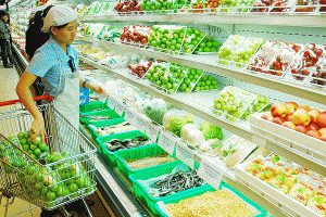 Tổng mức bán lẻ và doanh thu dịch vụ tiêu dùng đạt 385 nghìn tỷ đồng