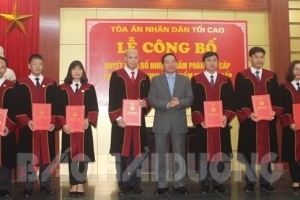 Hải Dương: Bổ nhiệm thẩm phán tòa án hai cấp tỉnh