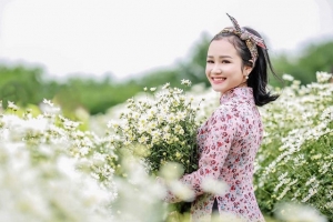 Hà Nội: Giới trẻ mê mẩn, hào hứng “khoe sắc” bên Cúc họa mi