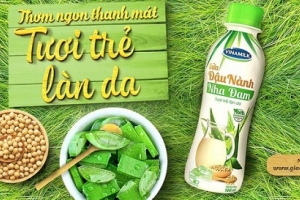 Sữa đậu nành nha đam - thơm ngon thanh mát, tươi trẻ làn da