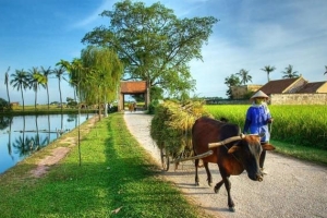 Đẩy nhanh giải quyết nợ đọng xây dựng cơ bản các dự án nông thôn mới