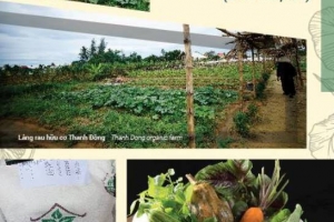 Hội An-Quảng Nam: Chợ phiên với các sản phẩm sạch, tạo thương hiệu mới